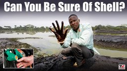 Can You Be Sure Of Shell?