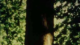 Trees of Syntax, Leaves of Axis