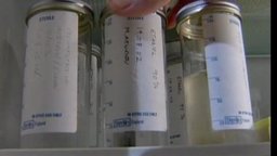 Aquaculture - Advances in Fish Farming