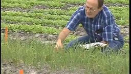 Agriculture – Feeding a Hungry Planet