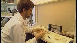 Biology: Putting Algae to Work