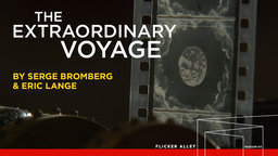 The Extraordinary Voyage (2011)