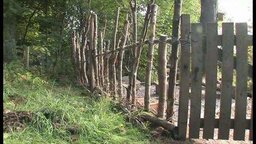 Outdoor Learning: A Year at Auchlone - Autumn