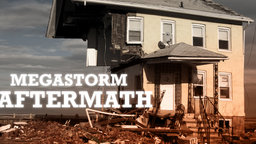 Megastorm Aftermath