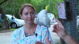Wild Bird Rescue