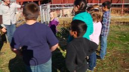 A Day on the Farm
