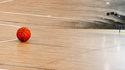 Arena Floor