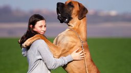 Gentle Giants Rescue
