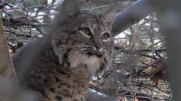 Moonridge Animal Park
