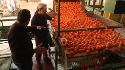 Orange Packing