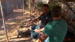 Reptile Rescue