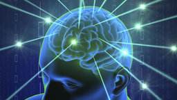 The Nuts and Bolts of the Stress-Response