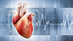 Stress and Your Heart