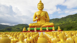 Mindfulness: The Power of Awareness