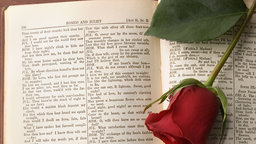 Romeo and Juliet—Words, Words, Words
