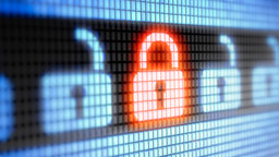 Government Regulation of Cyberspace