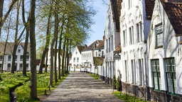 Bruges—Commerce and Community
