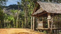 Robinson Crusoe--A Lone Survivor