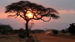 The Beauty of African Mythology