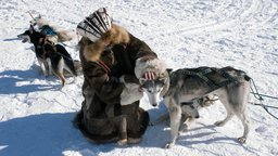 Inuit and Northern Forest Mythology