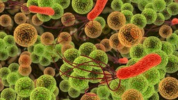 Bacteria: Heroes and Villains