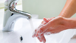 Which Germs in Your Daily Life Matter?