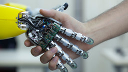Humanoid Robots: Just like Us?
