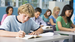 Borrowing Foreign School Cultures