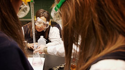 Gender Pipeline Lifts Equality Dream