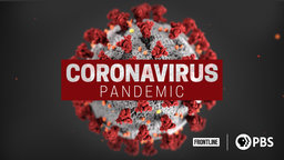 Coronavirus Pandemic