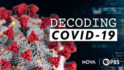 Decoding COVID-19
