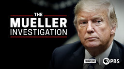 The Mueller Investigation