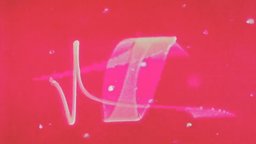 Masterworks of American Avant-garde Experimental Film - The 1950s