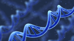 Cracking Your Genetic Code