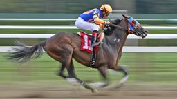 Horse Races and Stock Markets