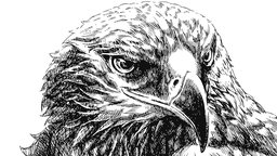 Texture: Mark Making and Optical Value