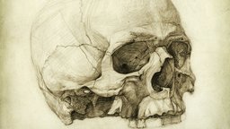 The Figure: Artistic Anatomy