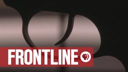 Gunned Down - The Power of the NRA