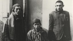 Memory of the Camps