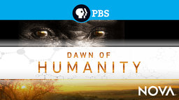 Dawn of Humanity