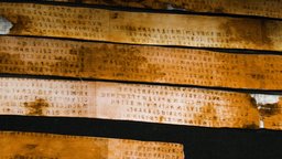 Etruscan Language and Literature