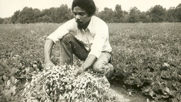 Arc of Justice - The Rise, Fall and Rebirth of a Beloved Community