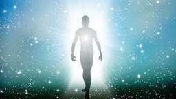 Are Persons Just Bodies?