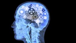 How Does the Brain Produce the Mind?