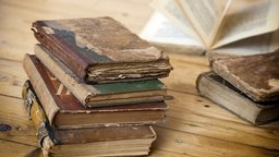 The Rise of American Language Standards