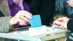 Induction in Polls and Science