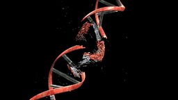 Is Aging a Disease?
