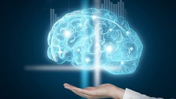 Aging and Brain Structure