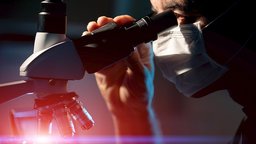 The Science of Immortality
