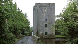 Yeats - The Tower Poems and Beyond